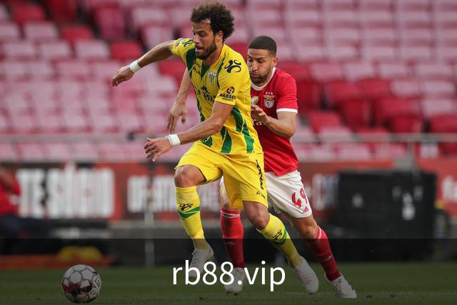 rb88.vip公司介绍图